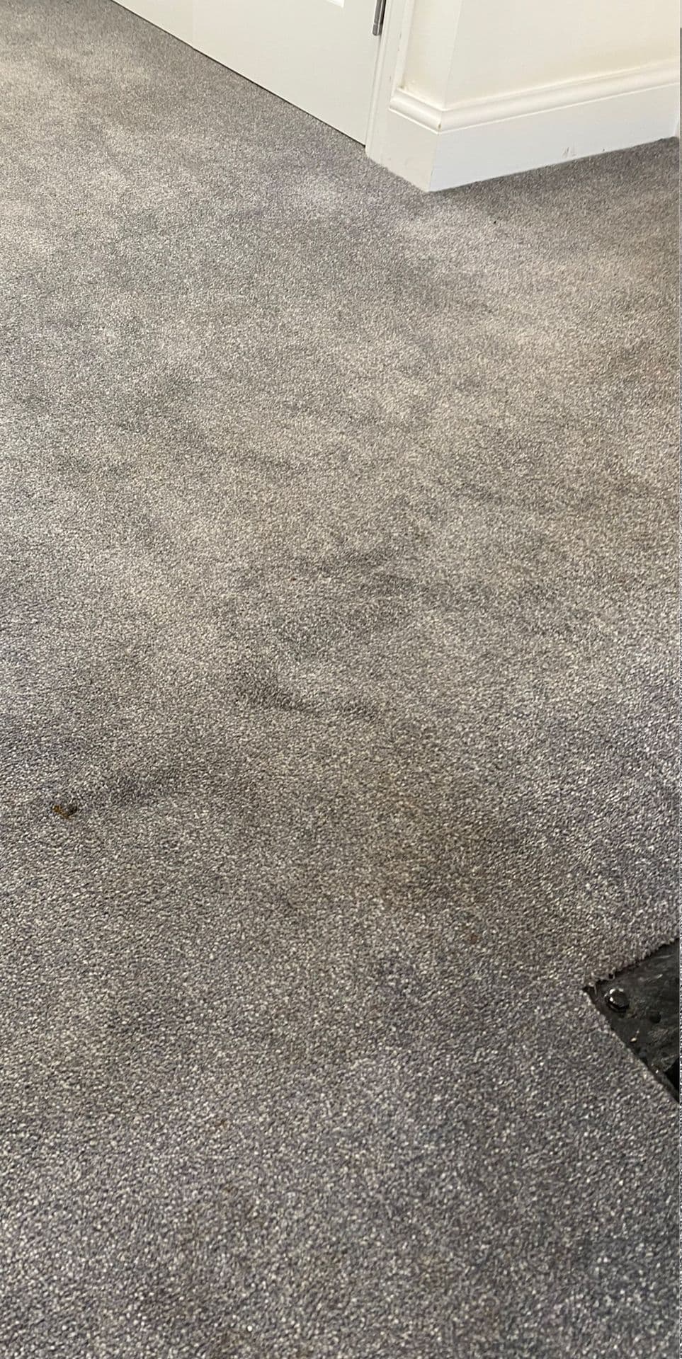 After deep clean, fresh, restored finish